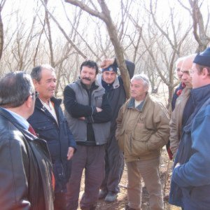 Cicciano januari 2011.