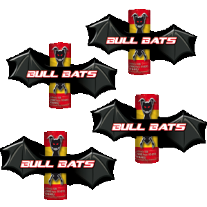 01112018113305bullbats_390_390.png