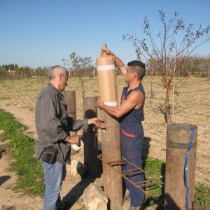 Opbouw van de broers Giovanni, Domenico en Sergio Pannella.