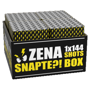 01620 Zena Snapte! box.png