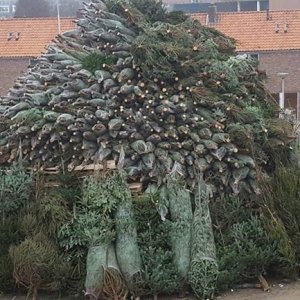 Voorbereidingen-voor-de-vreugdevuren-in-Delft-Foto-BrasBoys.jpg