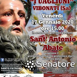 Vibonati 17 januari 2020 Programma.