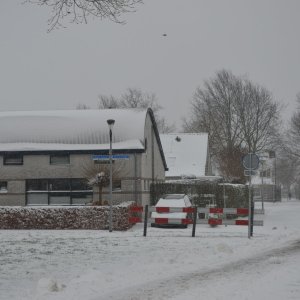 DSC_1864.JPG