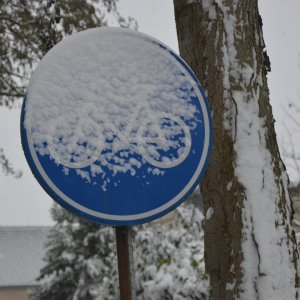 DSC_1867.JPG