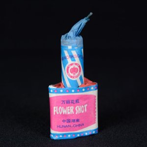 Flowershot-1.jpg