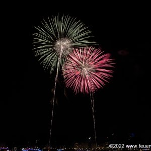 Fireworks for Japantag in Düsseldorf 2022