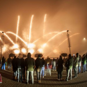 Demo AVRI Bloem- en Tuincentrum 10-12-2022