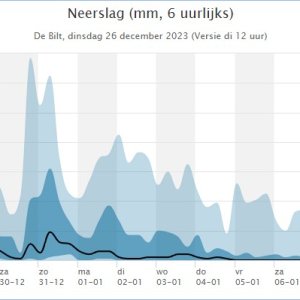 Pluim26-12-2.jpg