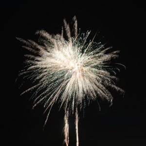 DSC_9009.JPG