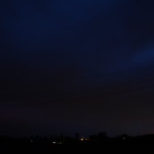 DSC_8931.JPG