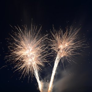 DSC_9537.JPG