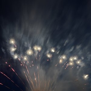 DSC_9561.JPG