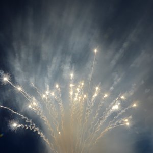 DSC_9562.JPG