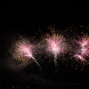 DSC_9740.JPG