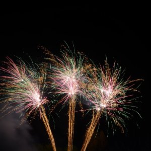 DSC_1596.JPG