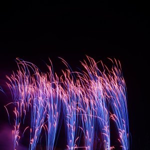 DSC_1602.JPG