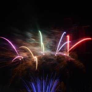 DSC_1613.JPG
