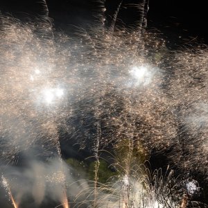 DSC_1645.JPG