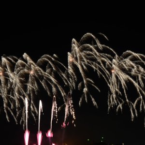 DSC_1865.JPG