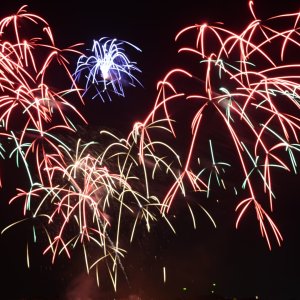 DSC_1876.JPG