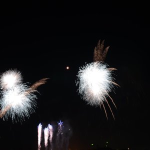 DSC_1916.JPG
