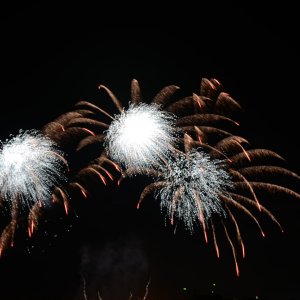 DSC_1917.JPG