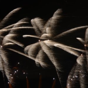 DSC_2024.JPG