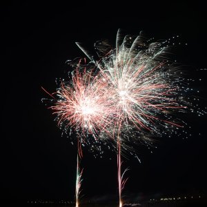 DSC_2172.JPG
