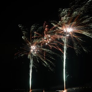DSC_2313.JPG