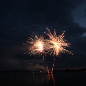 DSC_0264.jpg