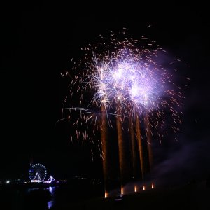 DSC_0356.jpg