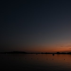 DSC_0697.jpg