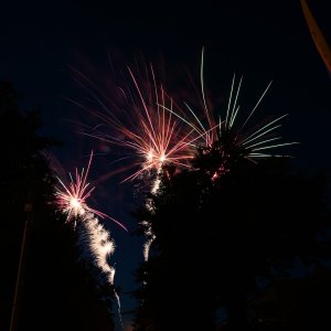 DSC_0874.jpg