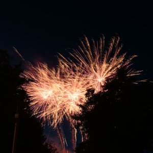 DSC_0883.jpg