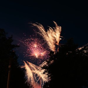 DSC_0884.jpg