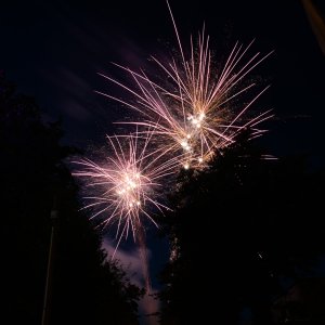 DSC_0907.jpg