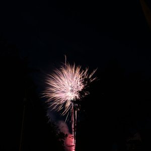 DSC_0910.jpg