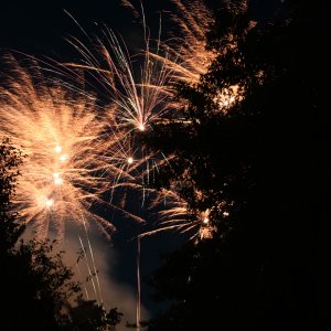 DSC_0925.jpg