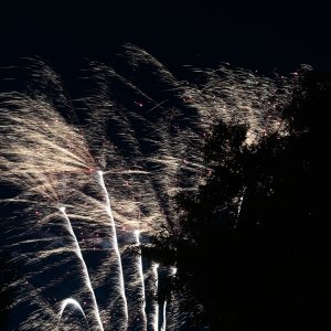 DSC_0941.jpg