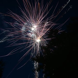 DSC_0948.jpg