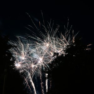 DSC_0976.jpg