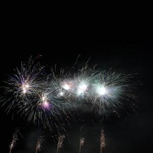 DSC_1046.jpg