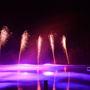 DSC_3534.JPG