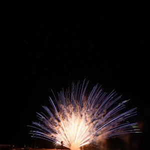 DSC_4018.JPG