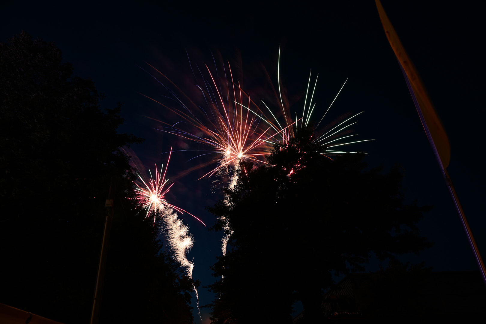 DSC_0874.jpg