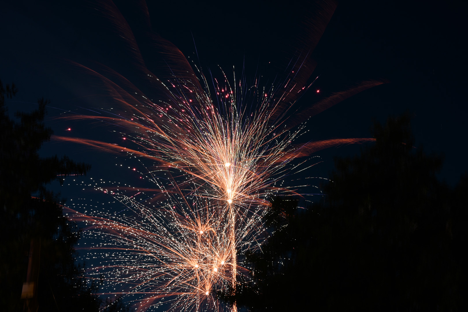 DSC_0879.jpg