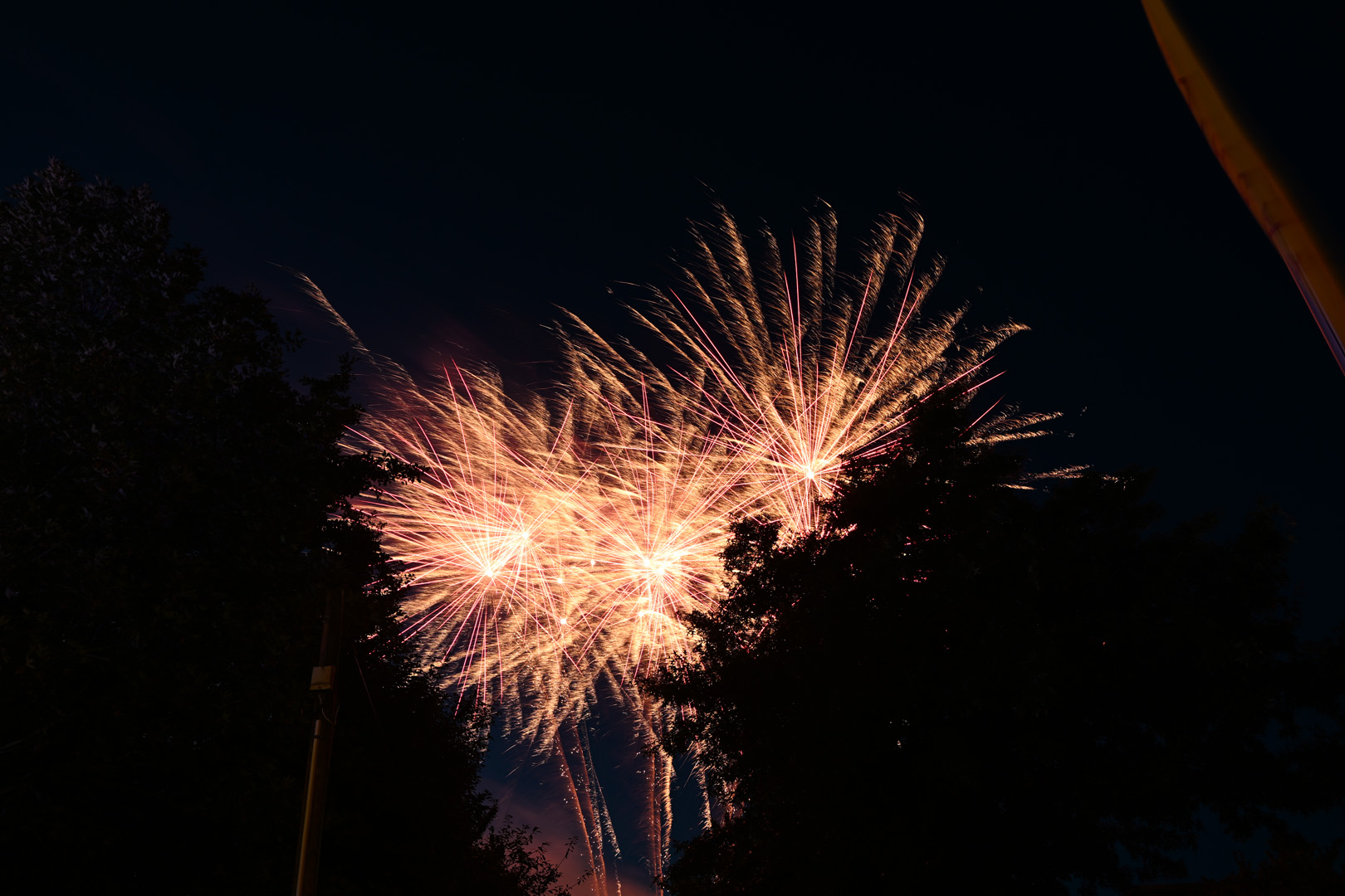 DSC_0883.jpg