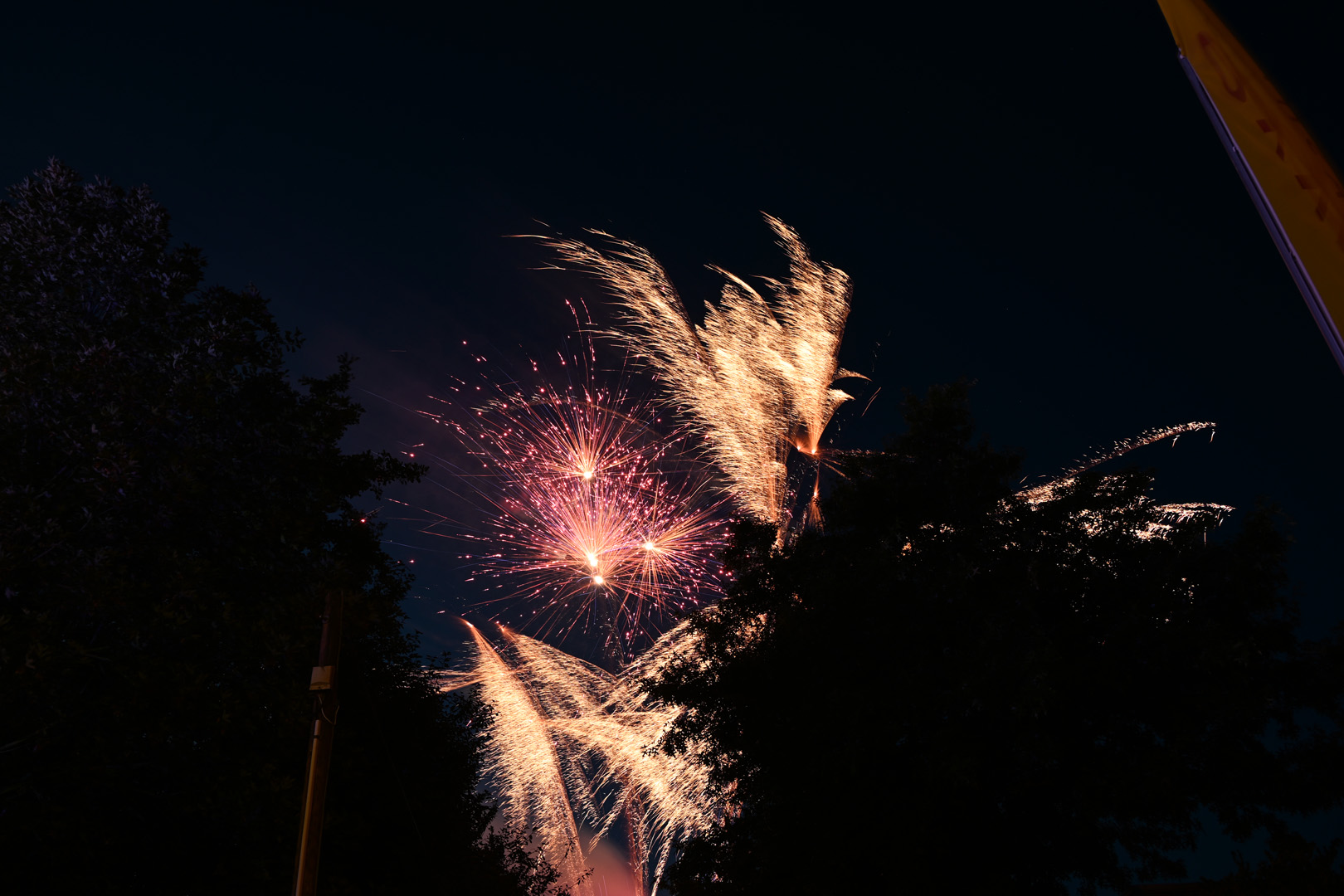 DSC_0884.jpg