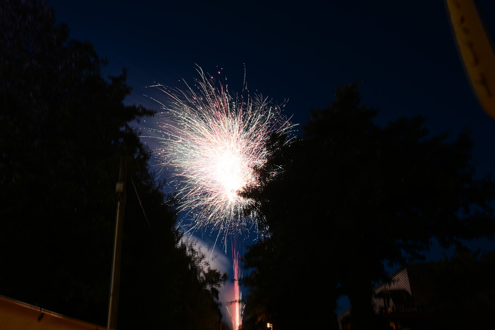 DSC_0892.jpg