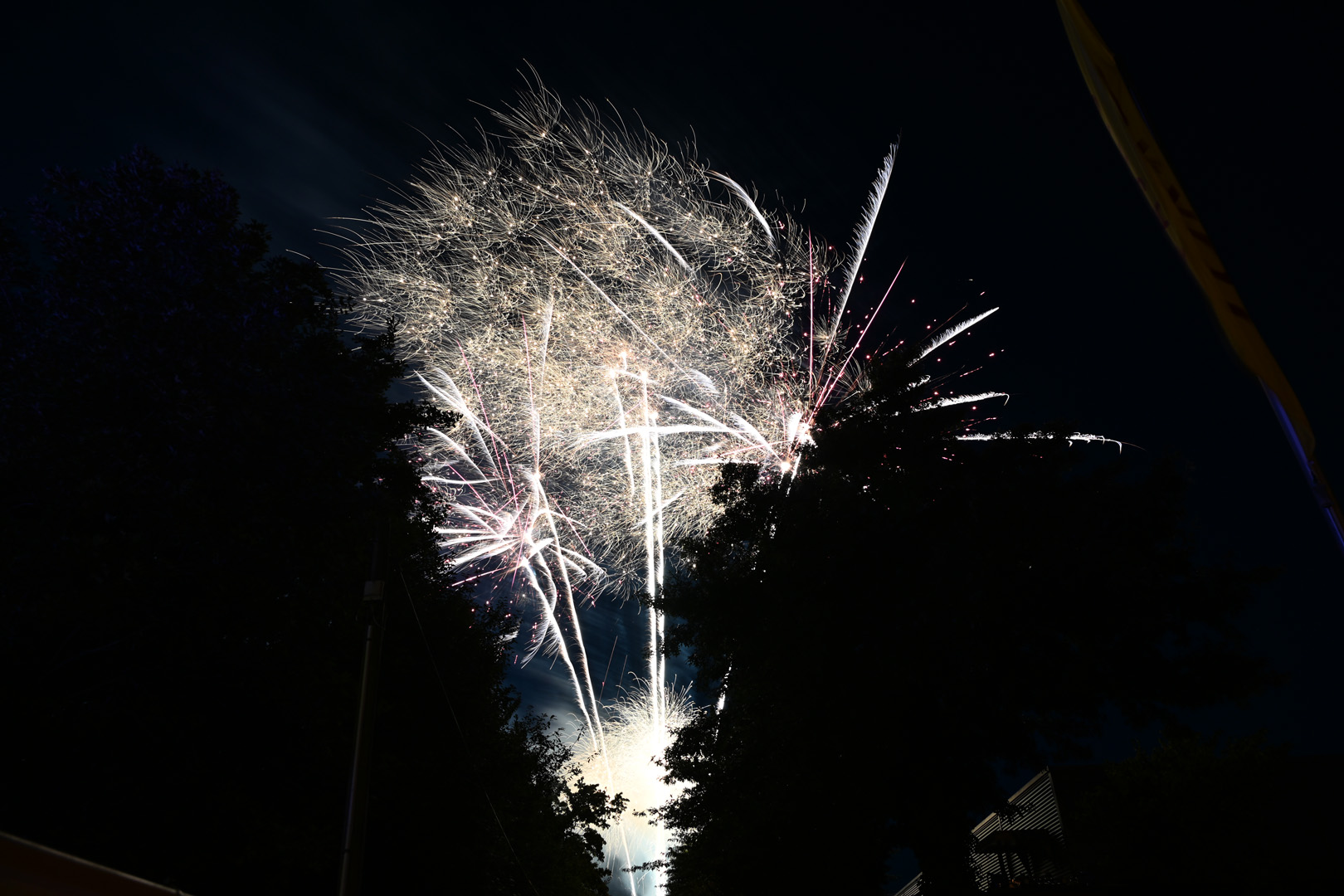 DSC_0903.jpg